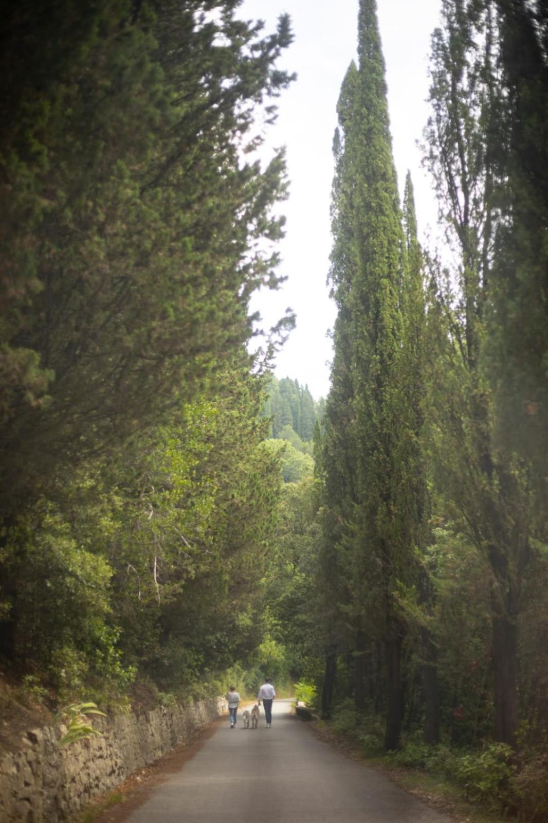 Agriturismo Tassinaia Pontassieve Eksteriør bilde