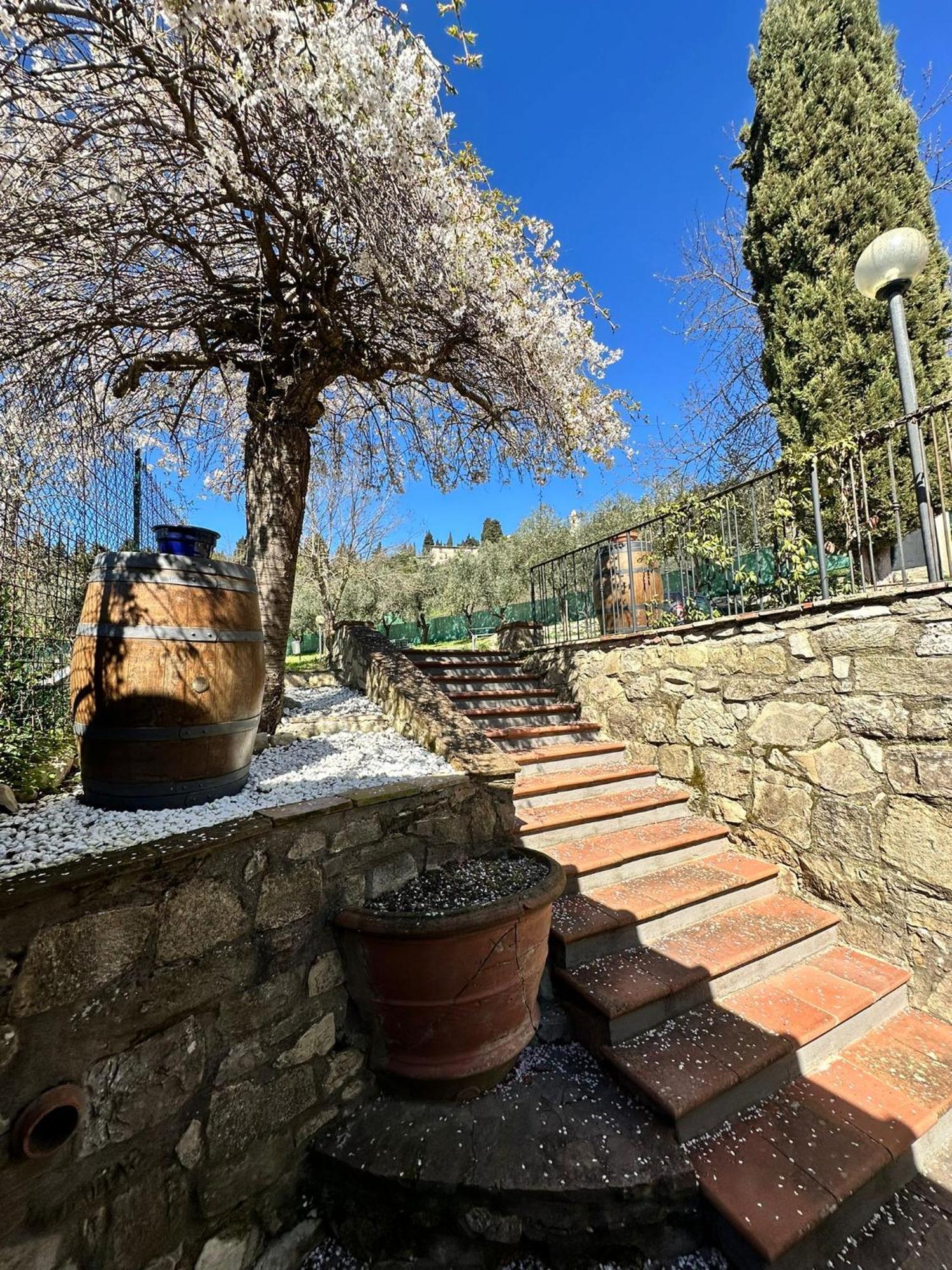 Agriturismo Tassinaia Pontassieve Eksteriør bilde