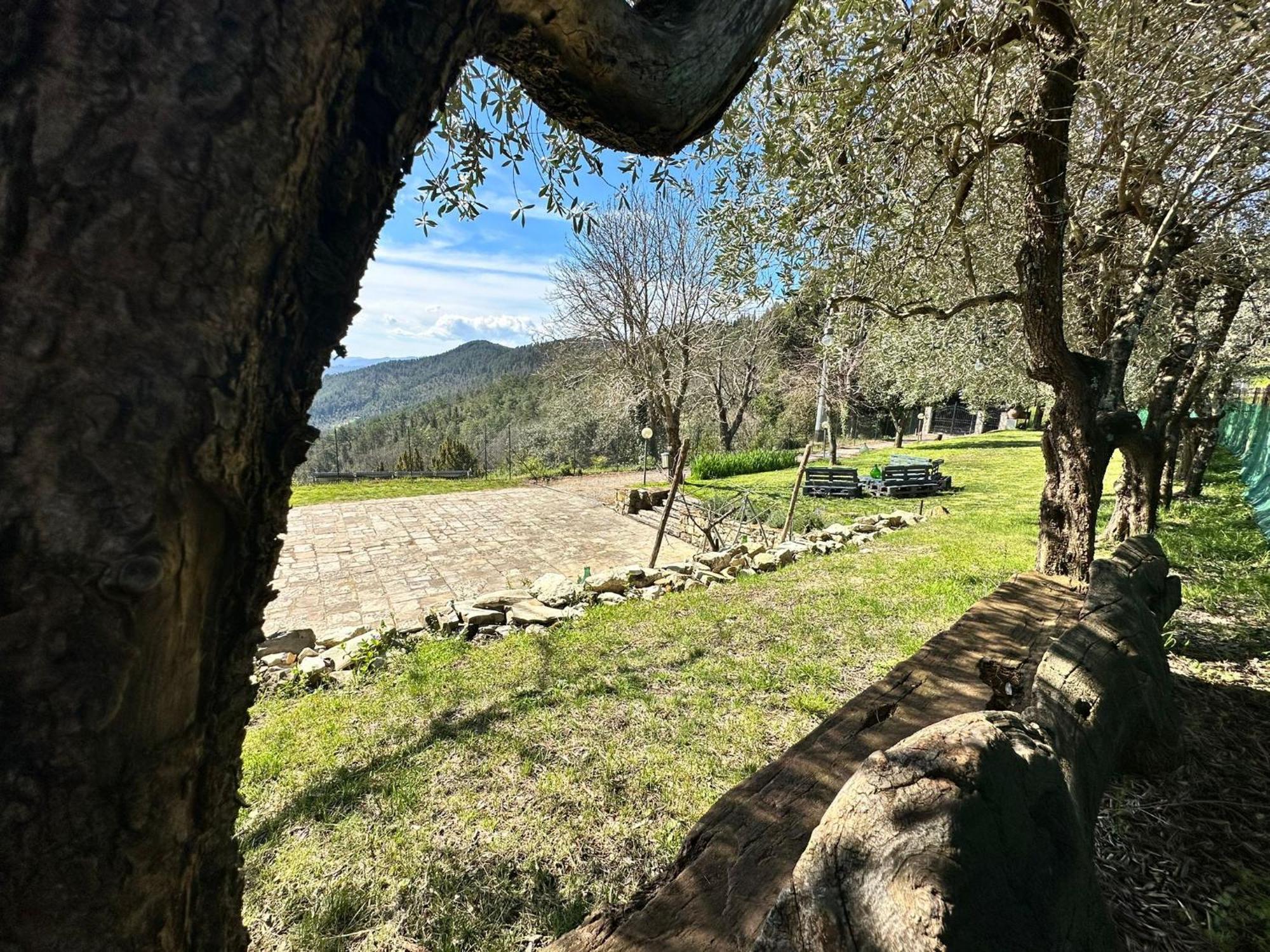 Agriturismo Tassinaia Pontassieve Eksteriør bilde