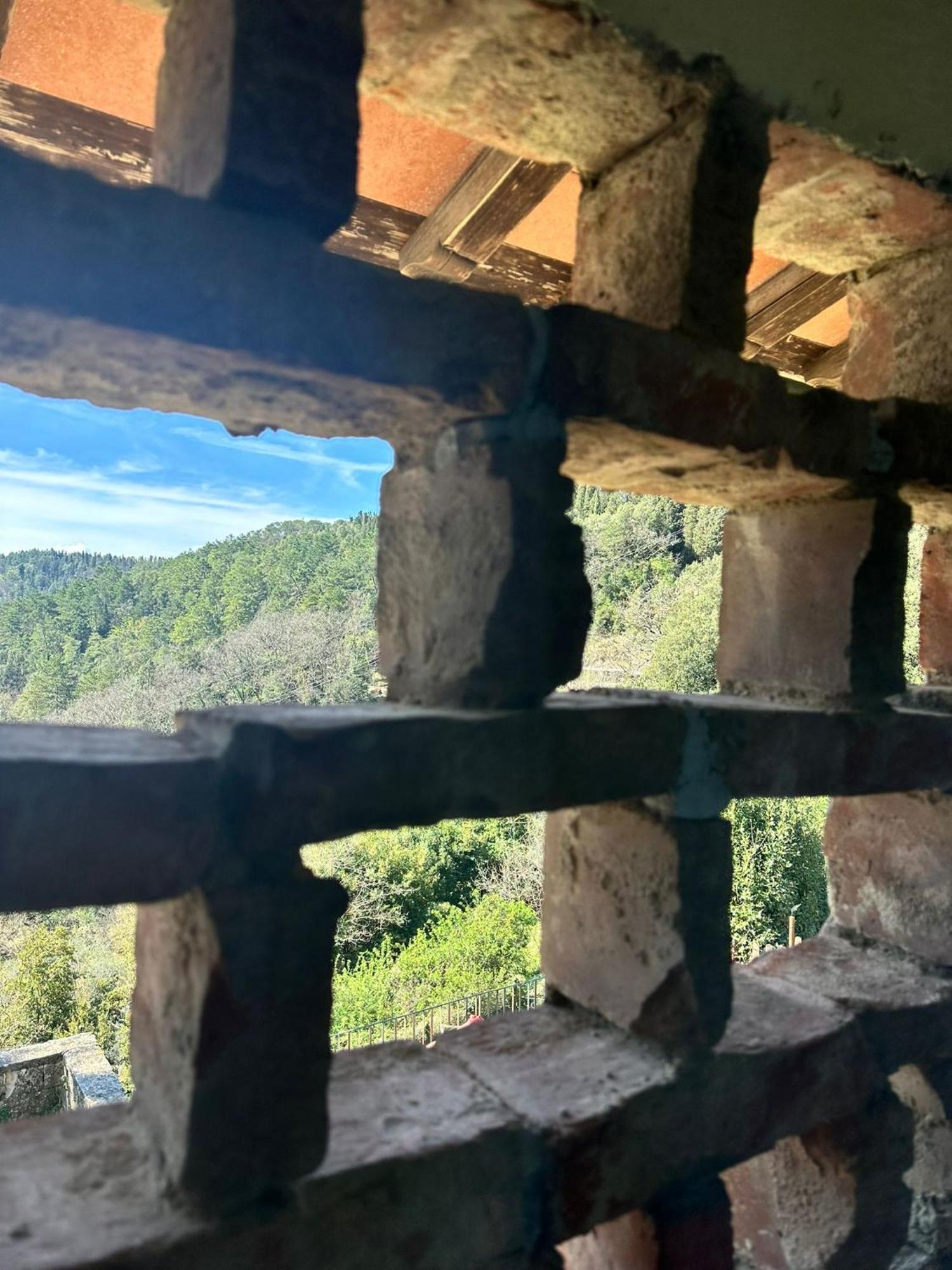 Agriturismo Tassinaia Pontassieve Eksteriør bilde