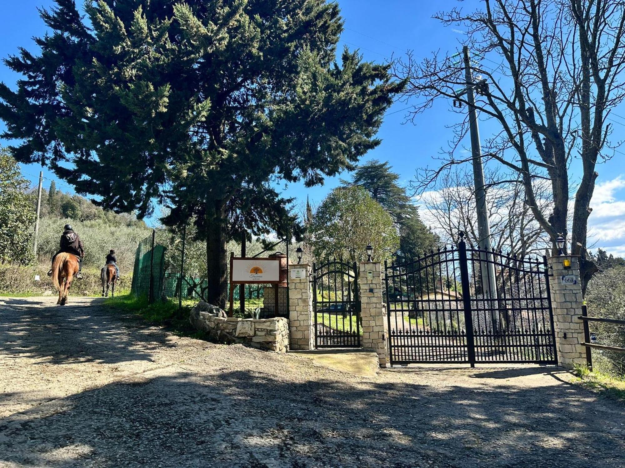 Agriturismo Tassinaia Pontassieve Eksteriør bilde