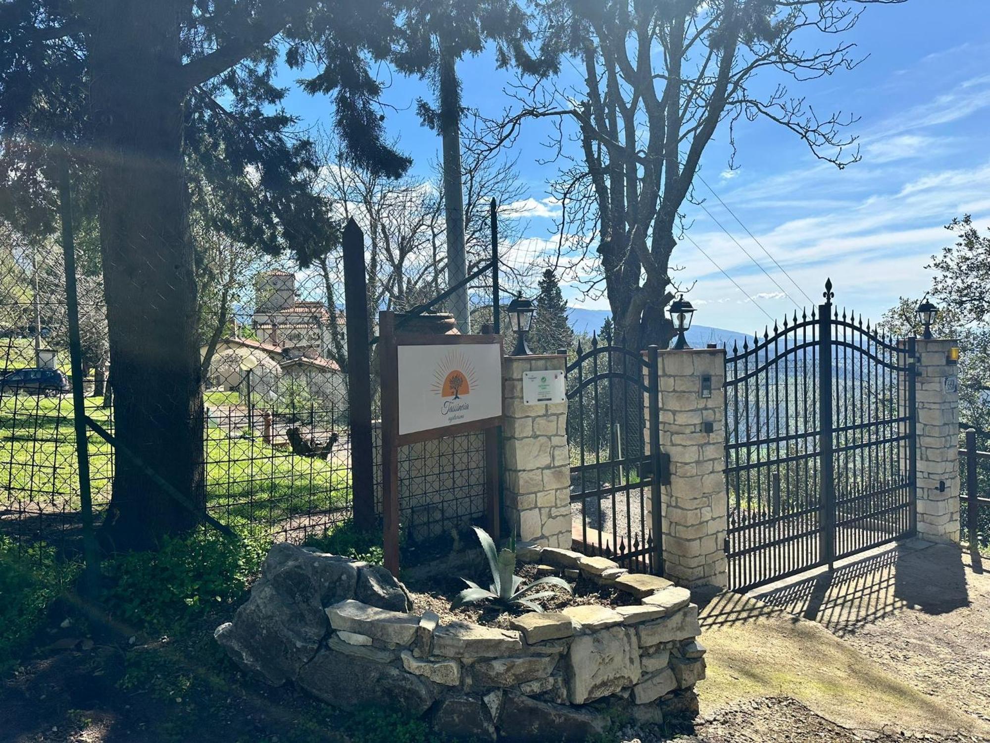 Agriturismo Tassinaia Pontassieve Eksteriør bilde